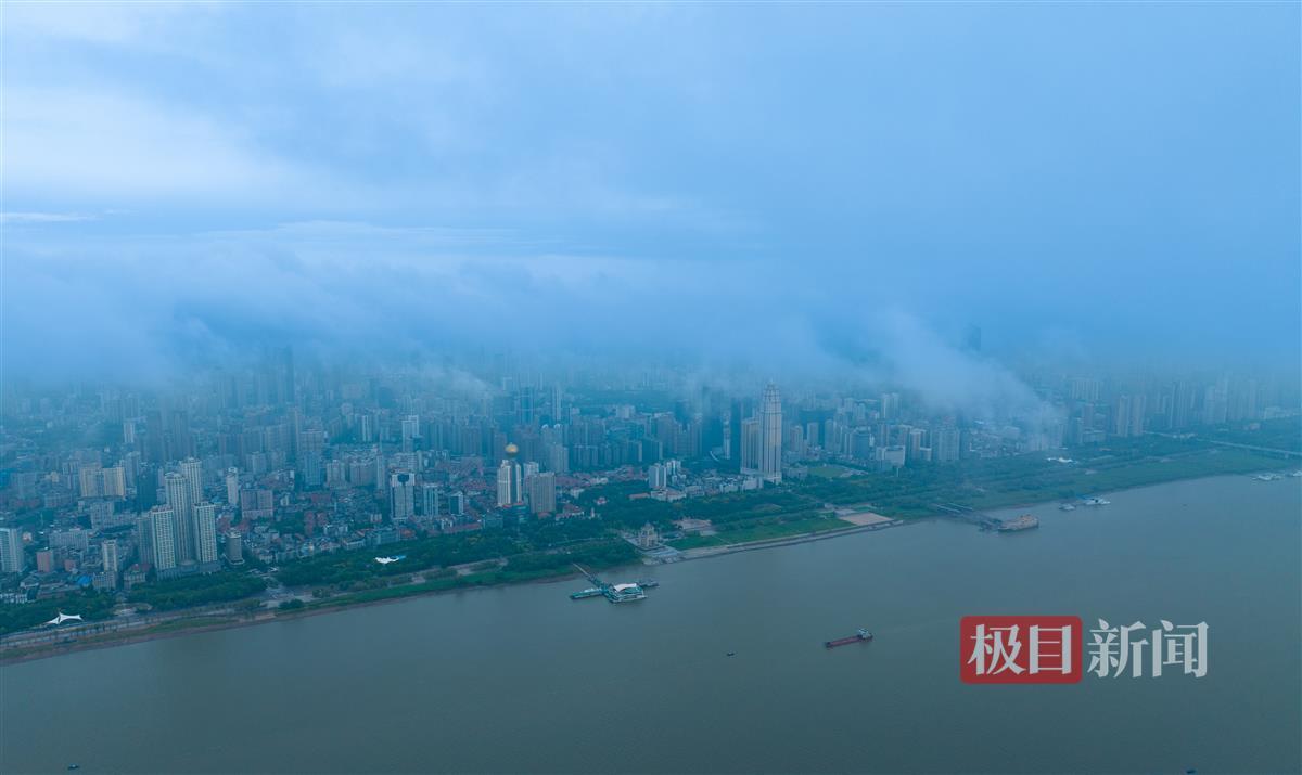 傅亿堂平台网站